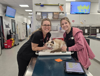 Two staff member smiling with a cat
