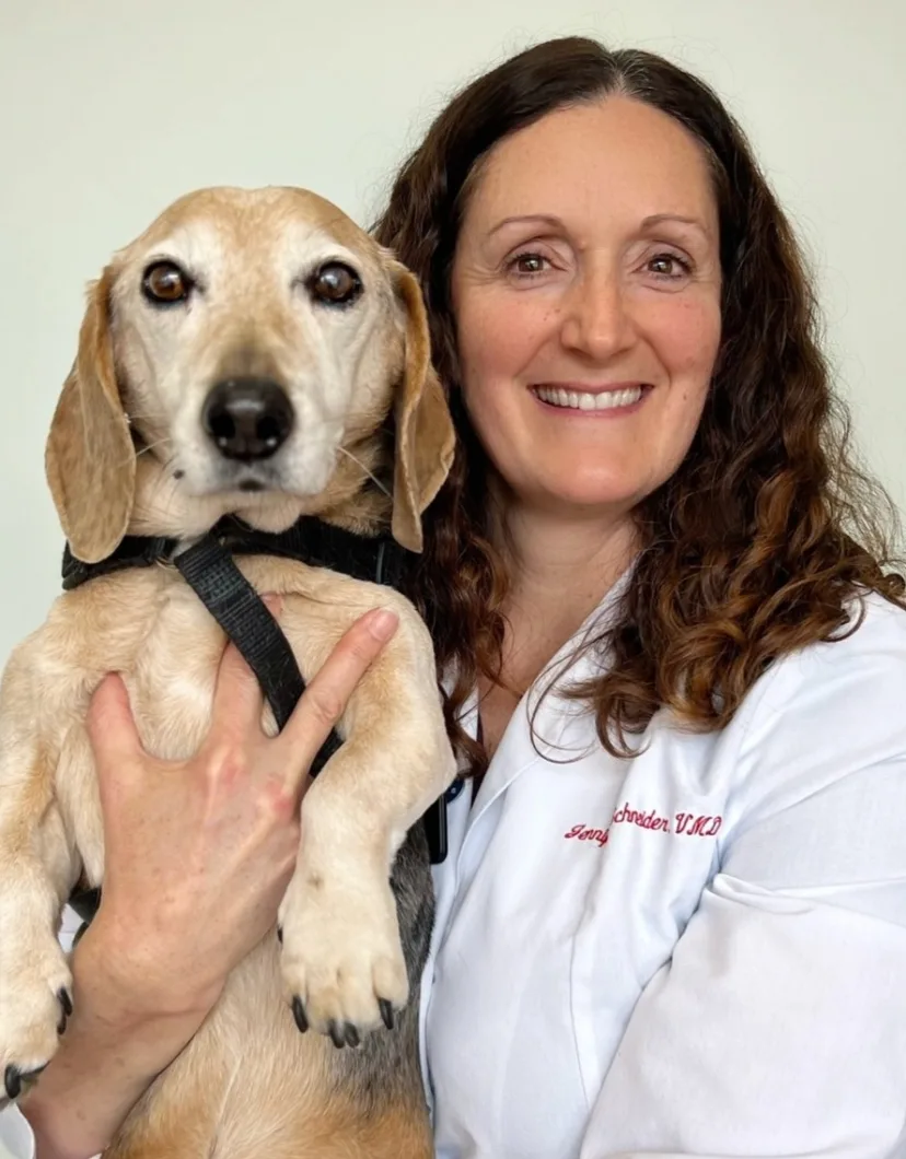 Dr. Jennifer Schneider at Clocktower Animal Hospital