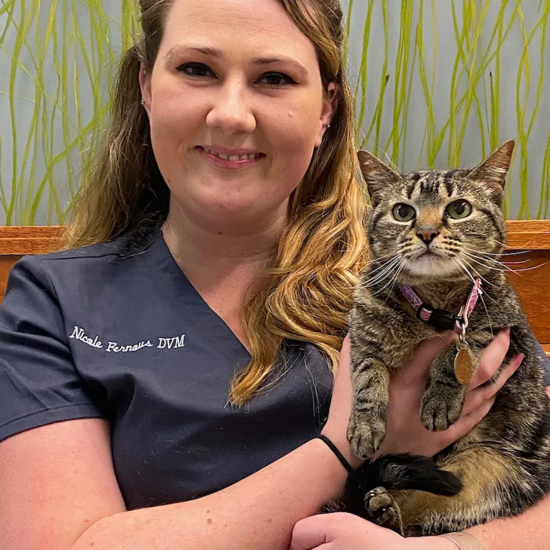 Dr. Nicole Fernous Dr. Nicole Fernous
