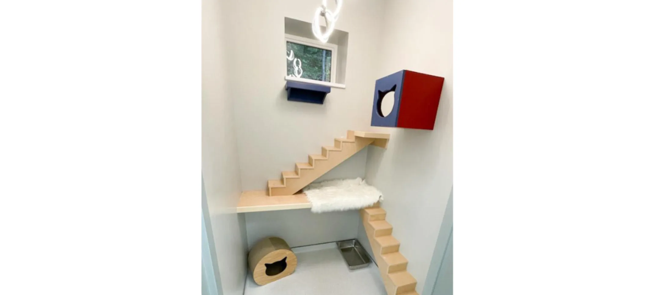 Cat Condo Cat Condo