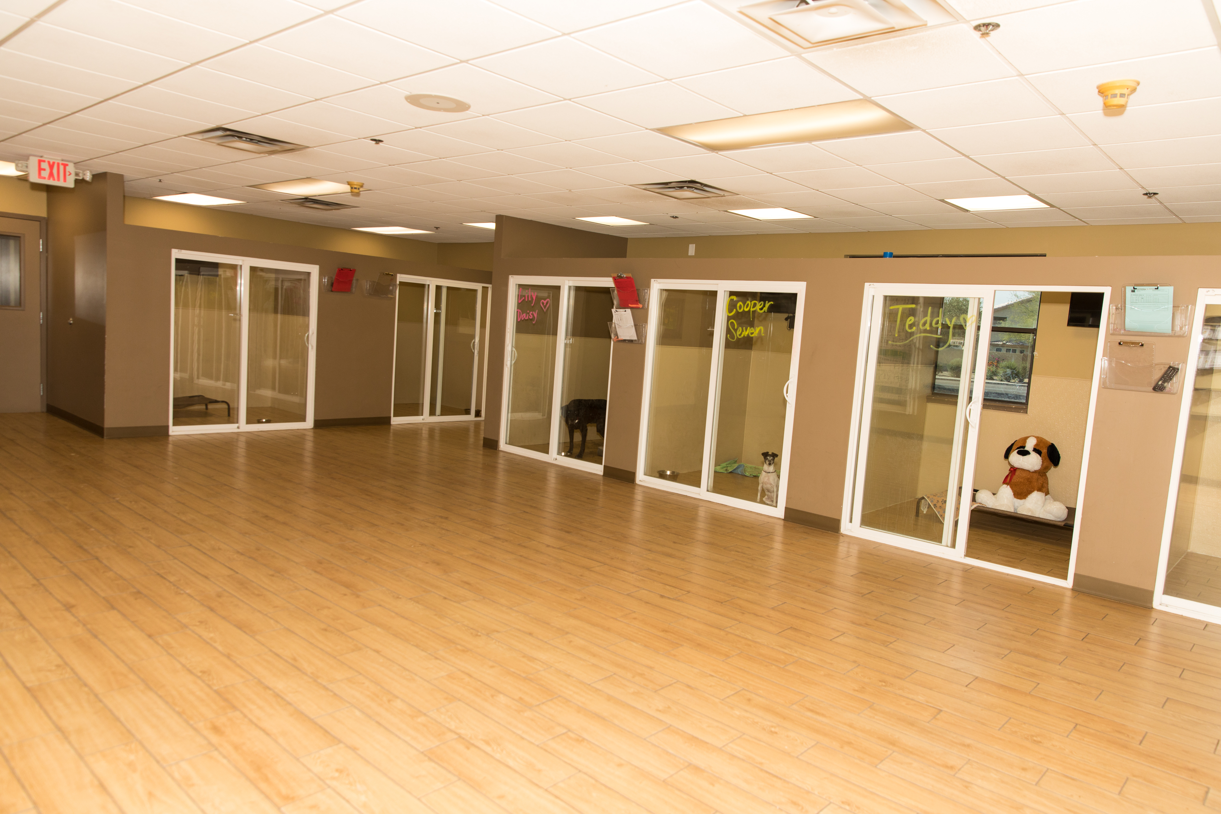 Doggie District - Mesa - Rooms