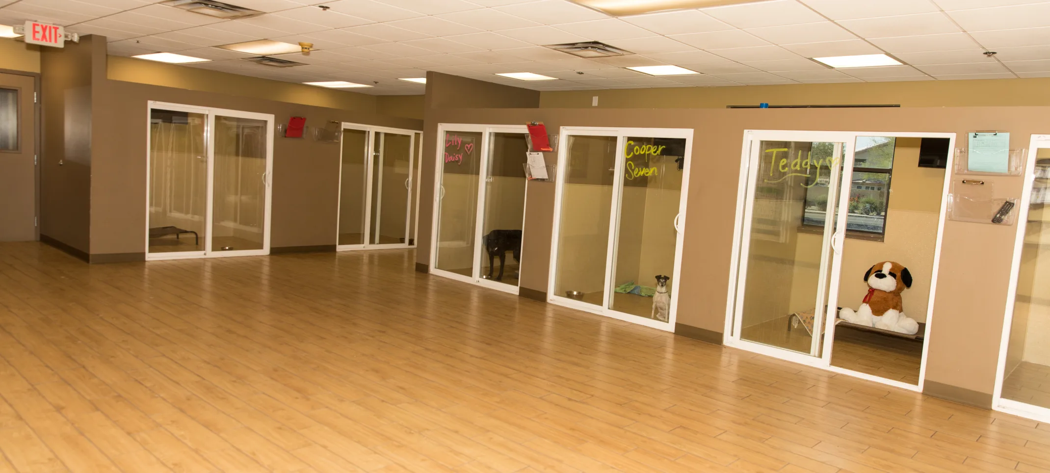 Doggie District - Mesa - Rooms Doggie District - Mesa - Rooms