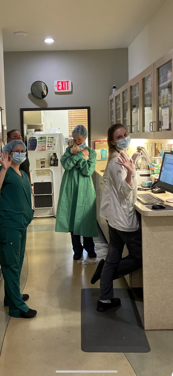 Doctors of The Ark Veterinary Clinic