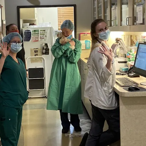 Doctors of The Ark Veterinary Clinic Doctors of The Ark Veterinary Clinic