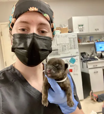 Mikaila, LVT Mikaila, LVT