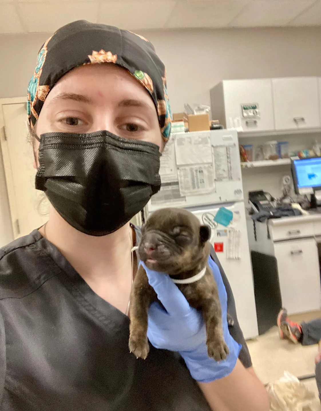 Mikaila, LVT Mikaila, LVT