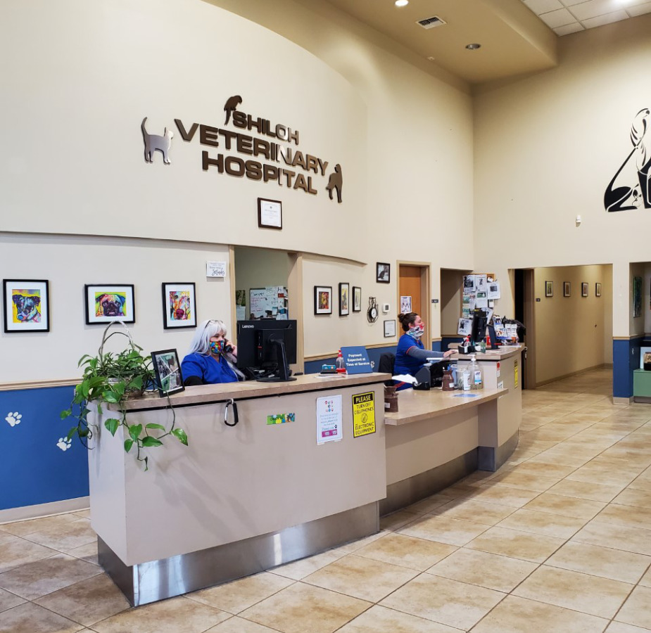 Hospital reception desk