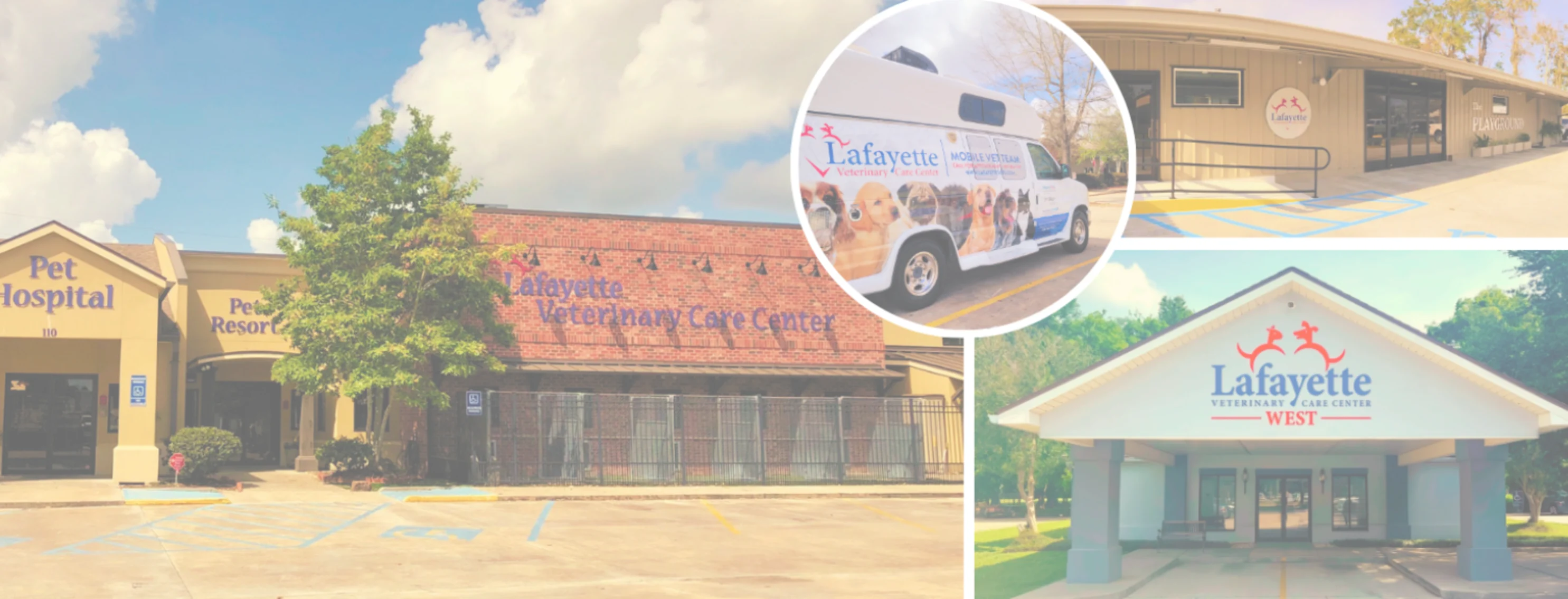 Lafayette Veterinary Care Centers Lafayette Veterinary Care Centers