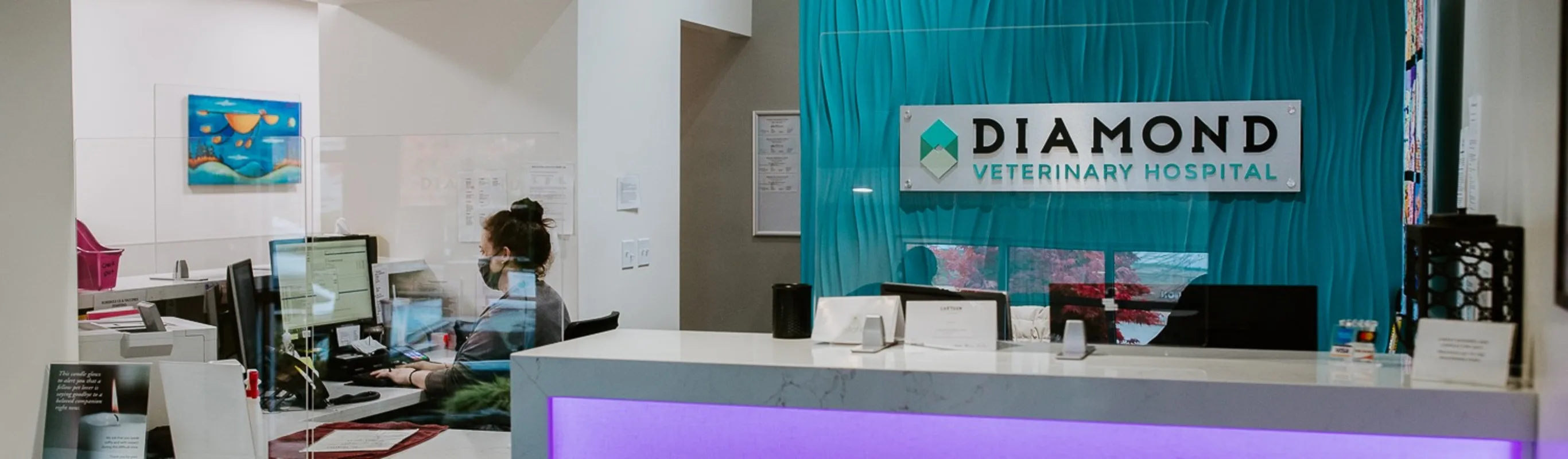 Hospital Lobby at Diamond Veterinary Hospital Hospital Lobby at Diamond Veterinary Hospital