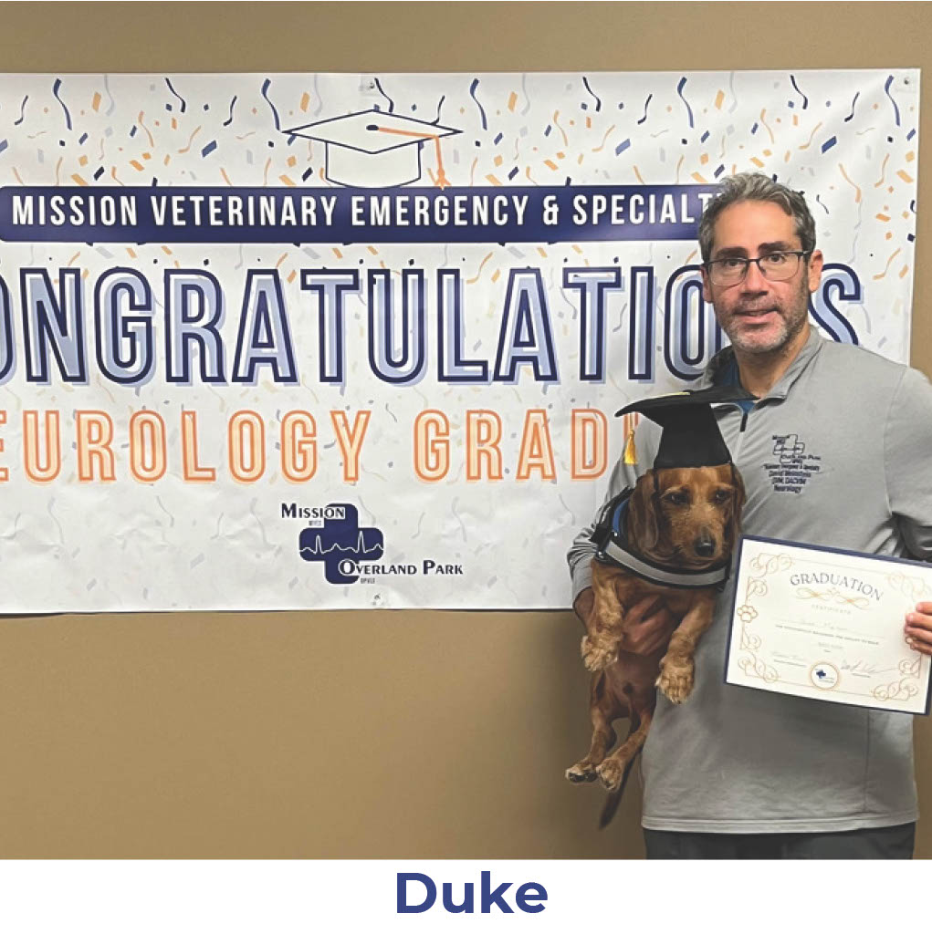 Duke the dog with Neurology Graduate Hall of Fame certificate