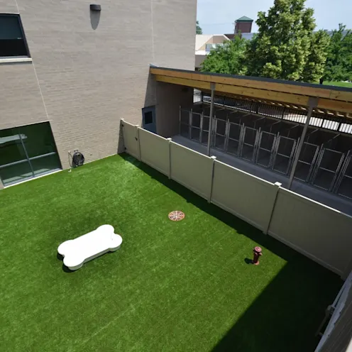 overhead view of outdoor play area overhead view of outdoor play area