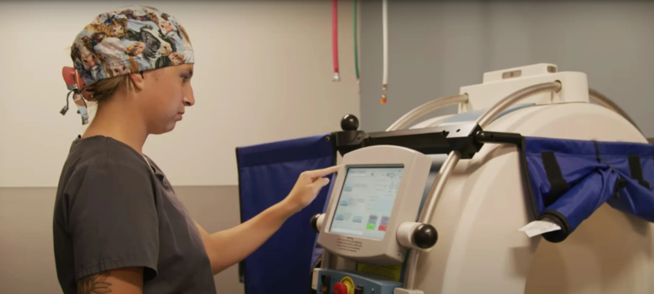 Veterinarian using CT machine