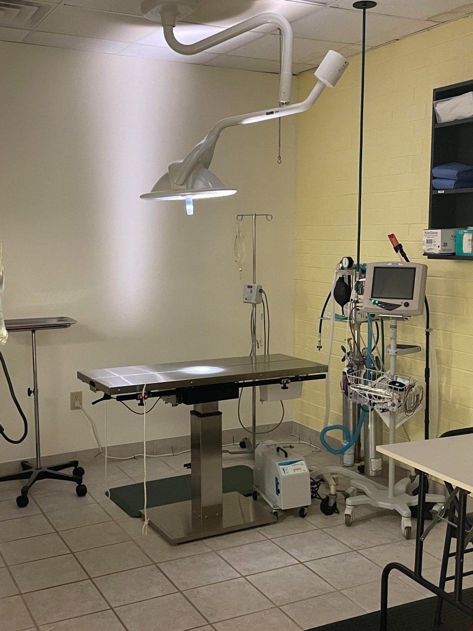 Surgical Suite at Cat Clinic of Greensboro