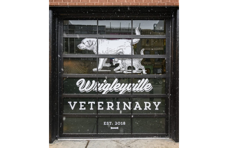 Exterior Window at Wrigleyville Veterinary Center