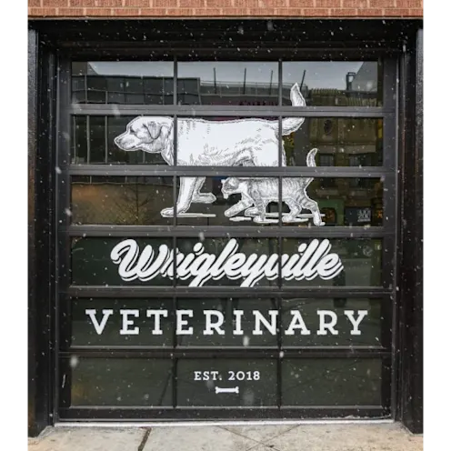 Exterior Window at Wrigleyville Veterinary Center Exterior Window at Wrigleyville Veterinary Center