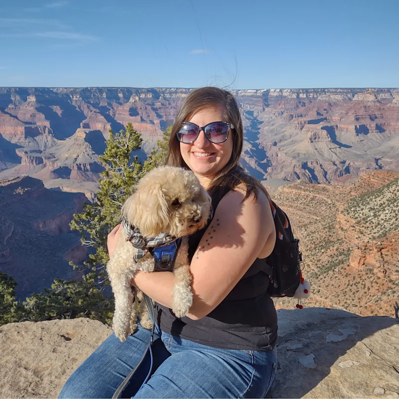 New Staff Member New Staff Member