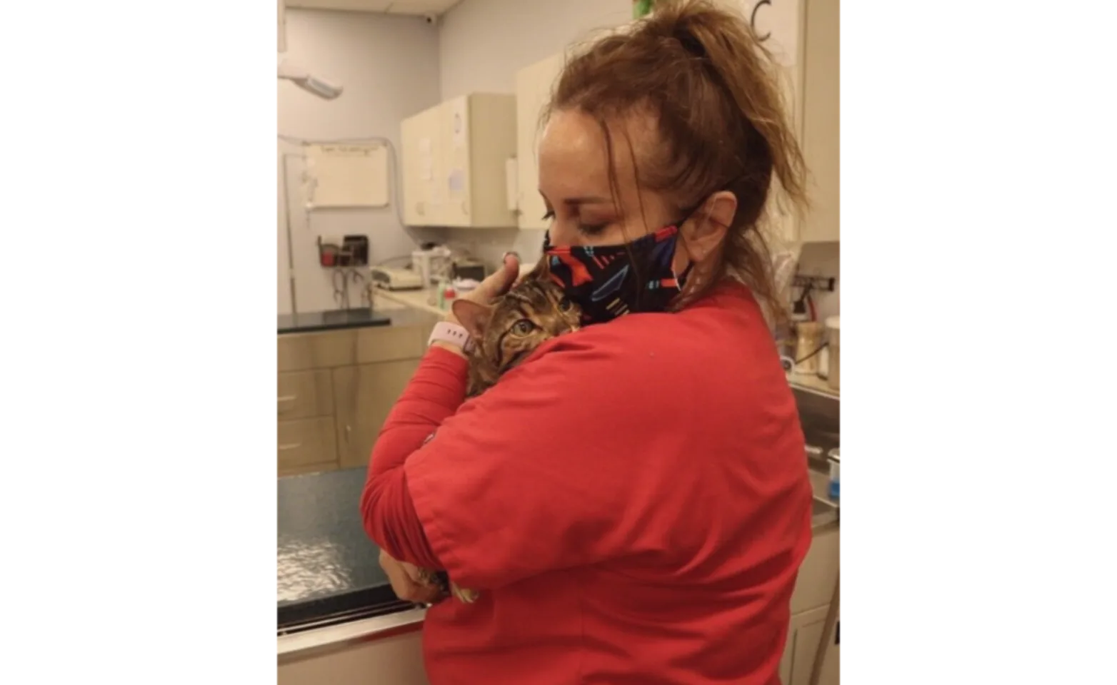 Staff member holding a cat Staff member holding a cat