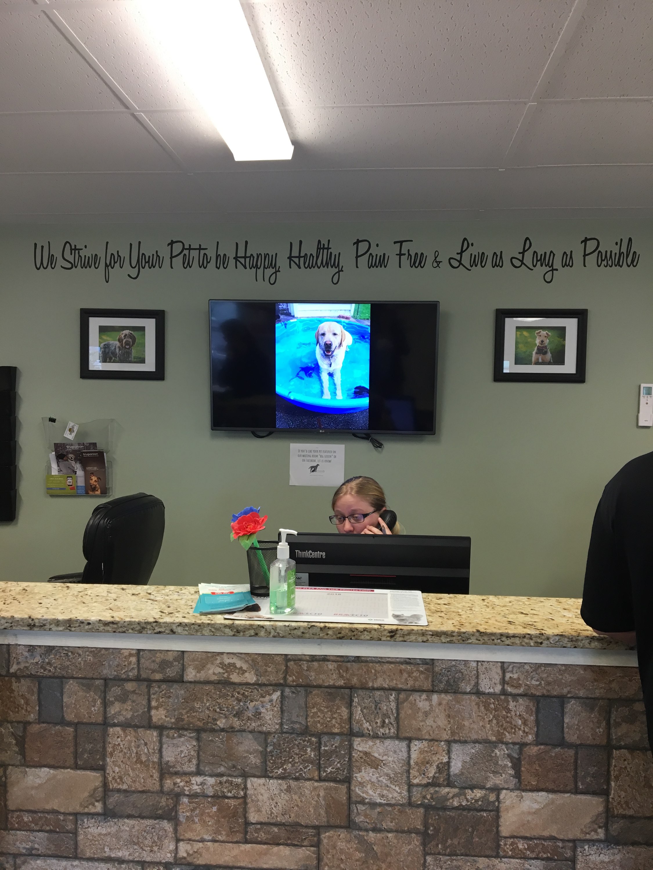 Waterville Veterinary Clinic Waiting Room