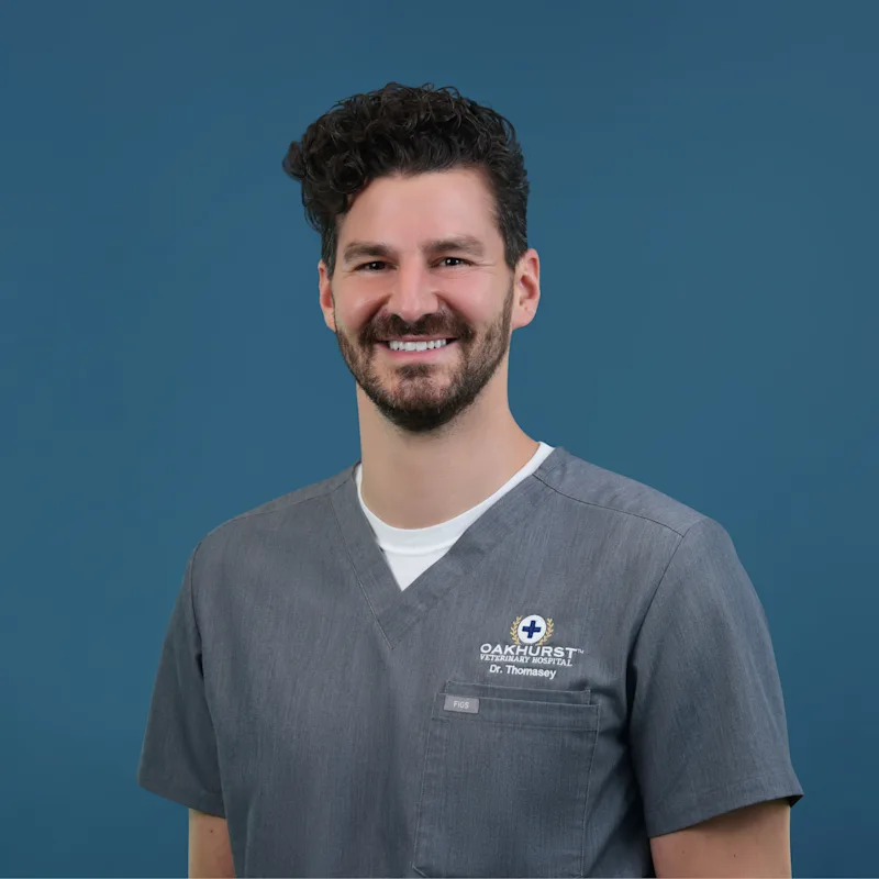 Dr. Daniel Thomasey holding a small kitten Dr. Daniel Thomasey holding a small kitten