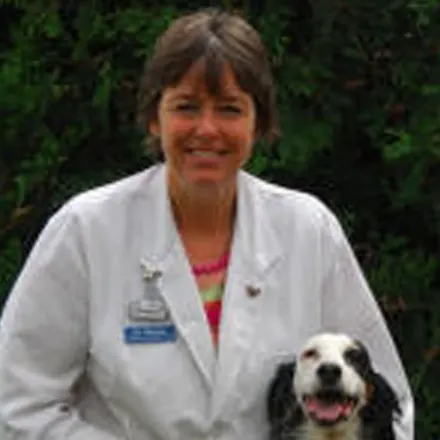 Dr. Elizabeth Thorson's staff photo from Stillwater Veterinary Clinic where she's posing with her black and white cockerspaniel outside. 