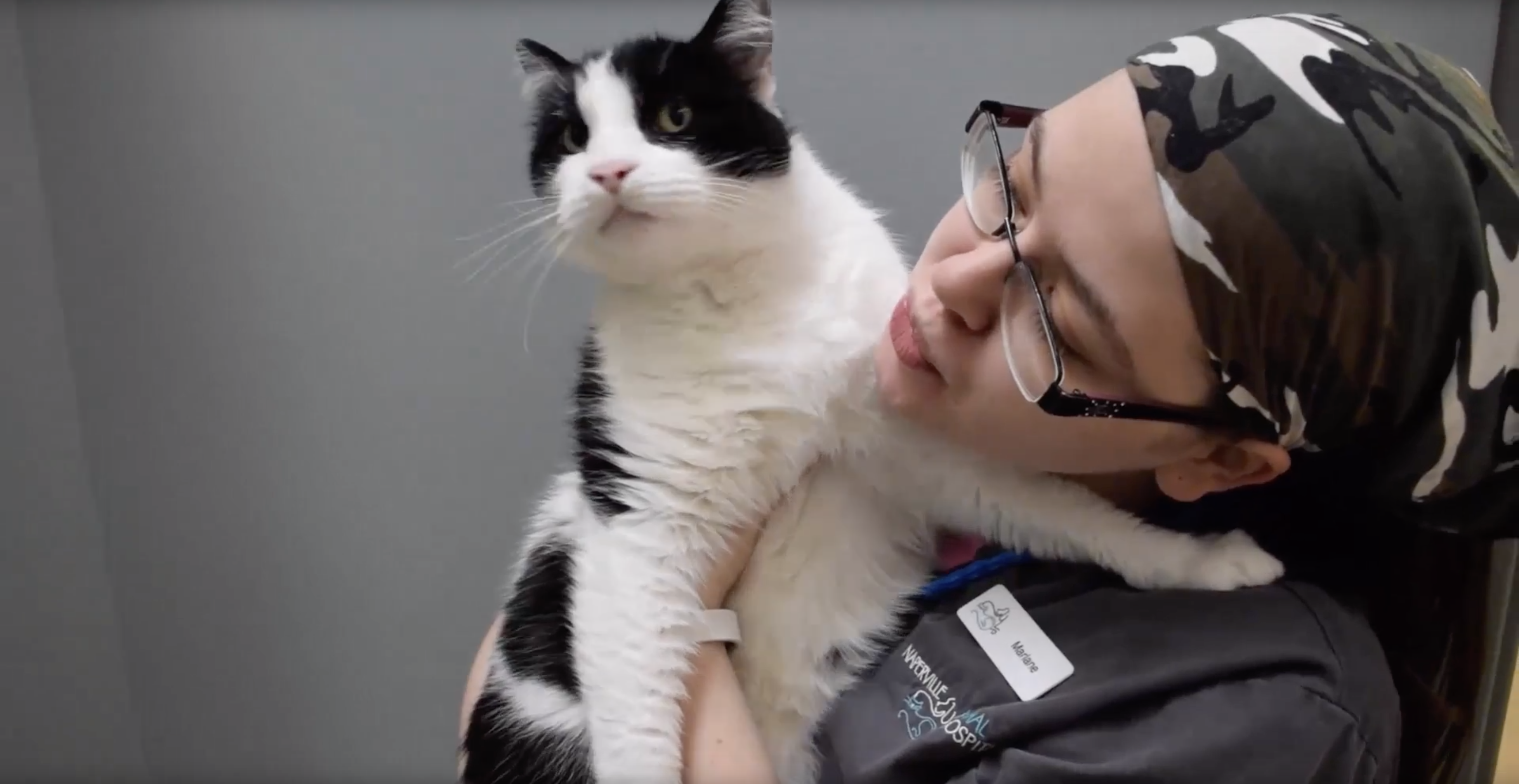 Naperville Animal Hospital Women with Cat Video Thumbnail