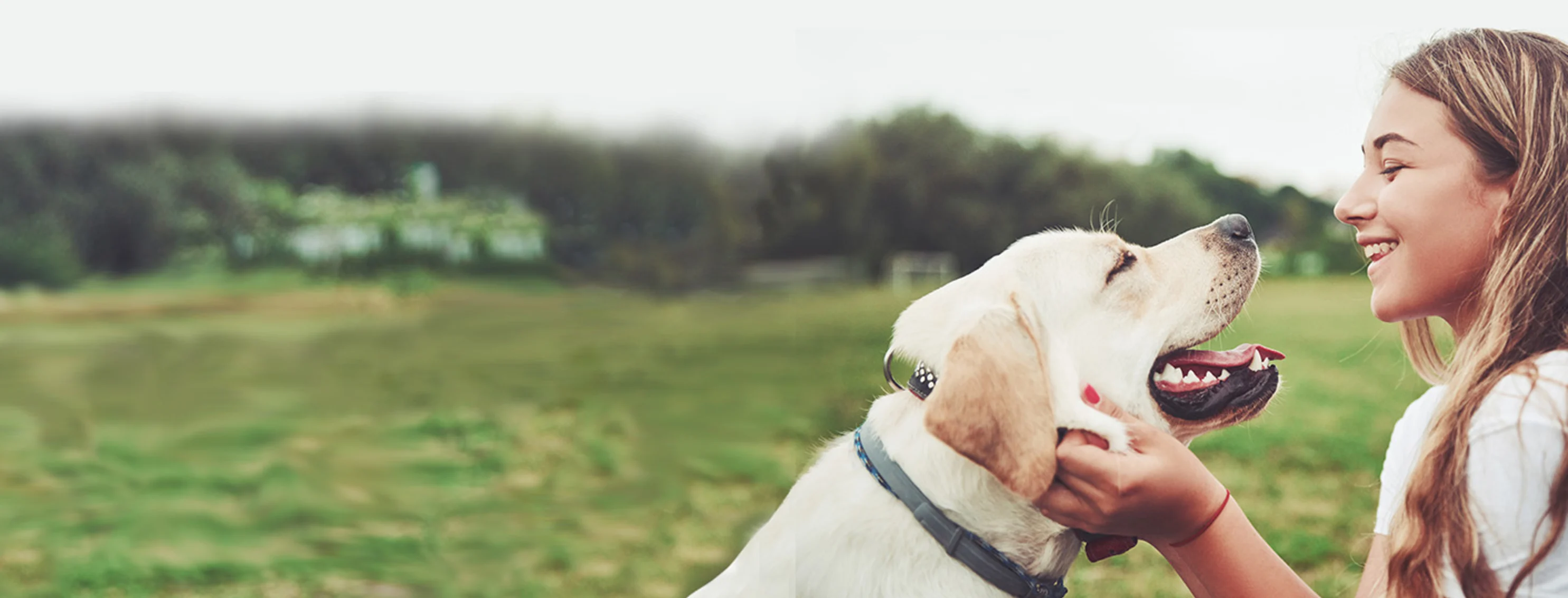 Blonde dog and a woman facing each other smiling with a green field and trees in the background.