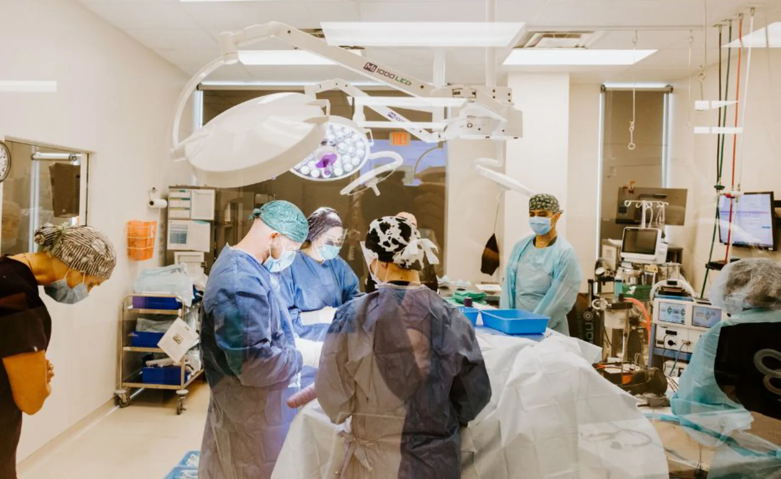 Hospital staff members operating Hospital staff members operating
