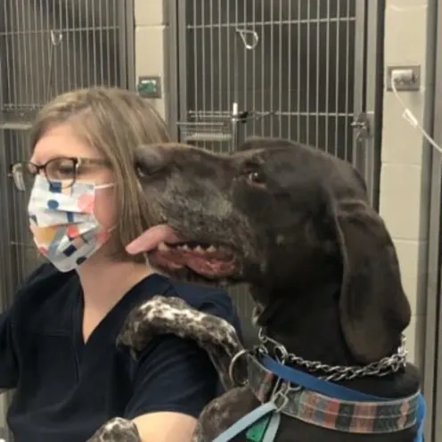 Black dog sitting next to vet Black dog sitting next to vet