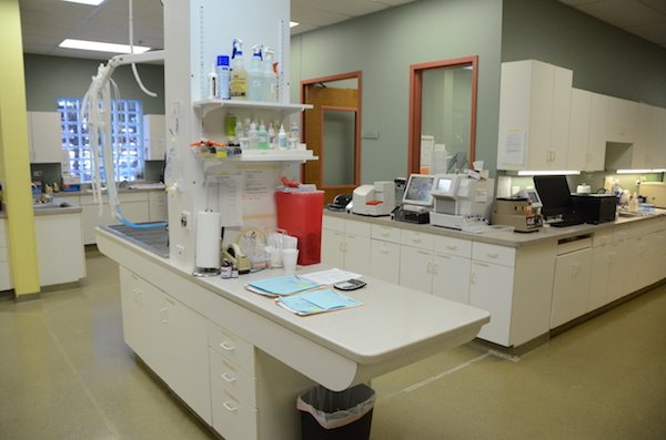 Elmhurst Animal Care Center Lab Room