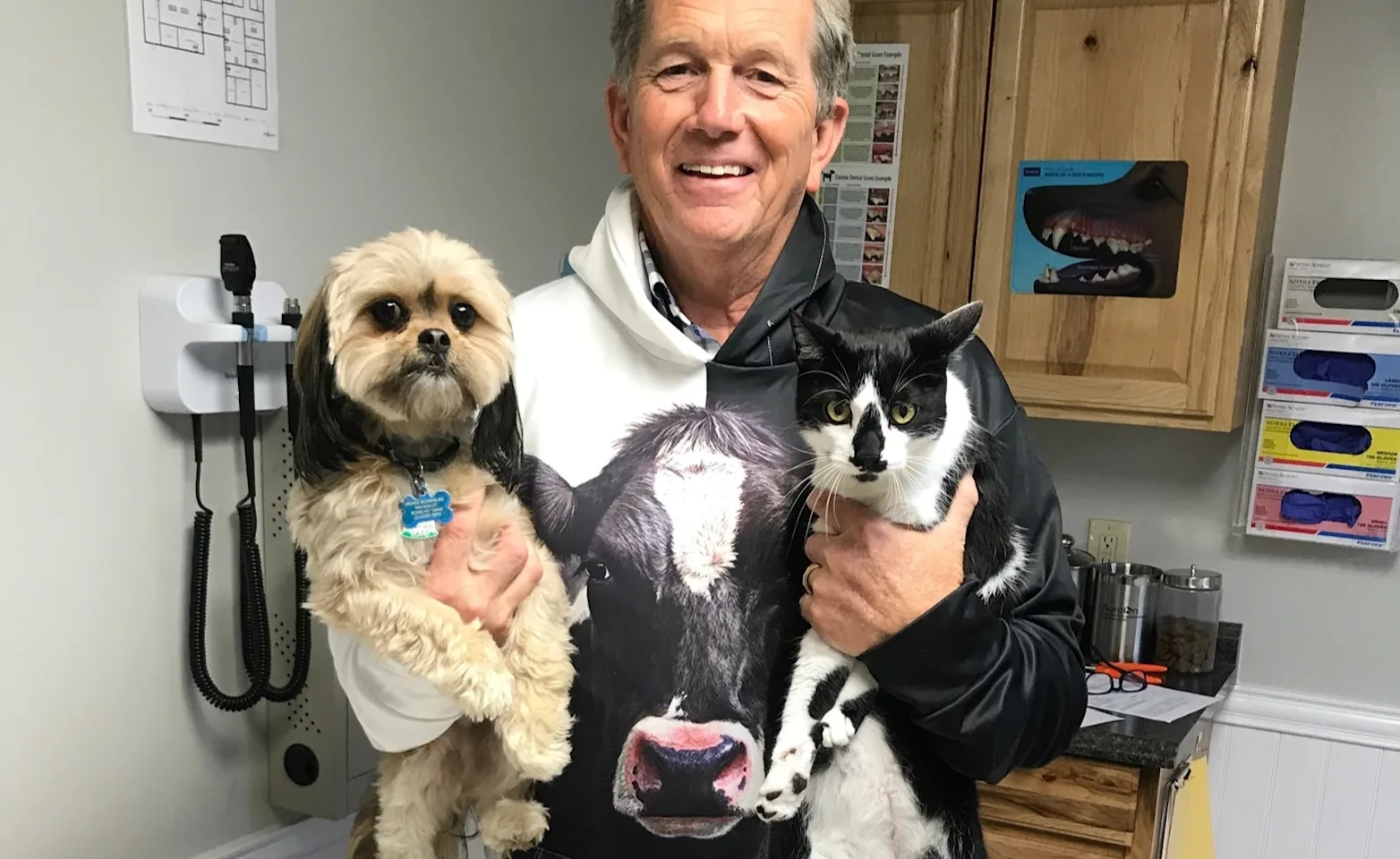 Waterville Veterinary Clinic Cat Closeup Waterville Veterinary Clinic Cat Closeup