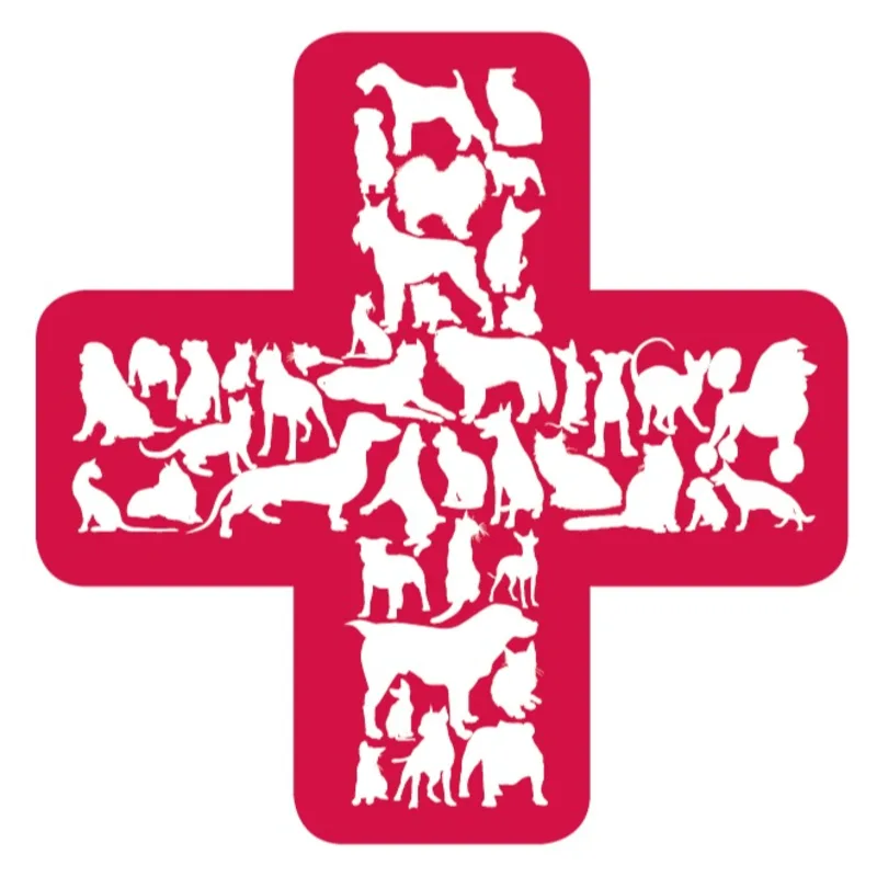 Kelly Crowdis, DVM Kelly Crowdis, DVM