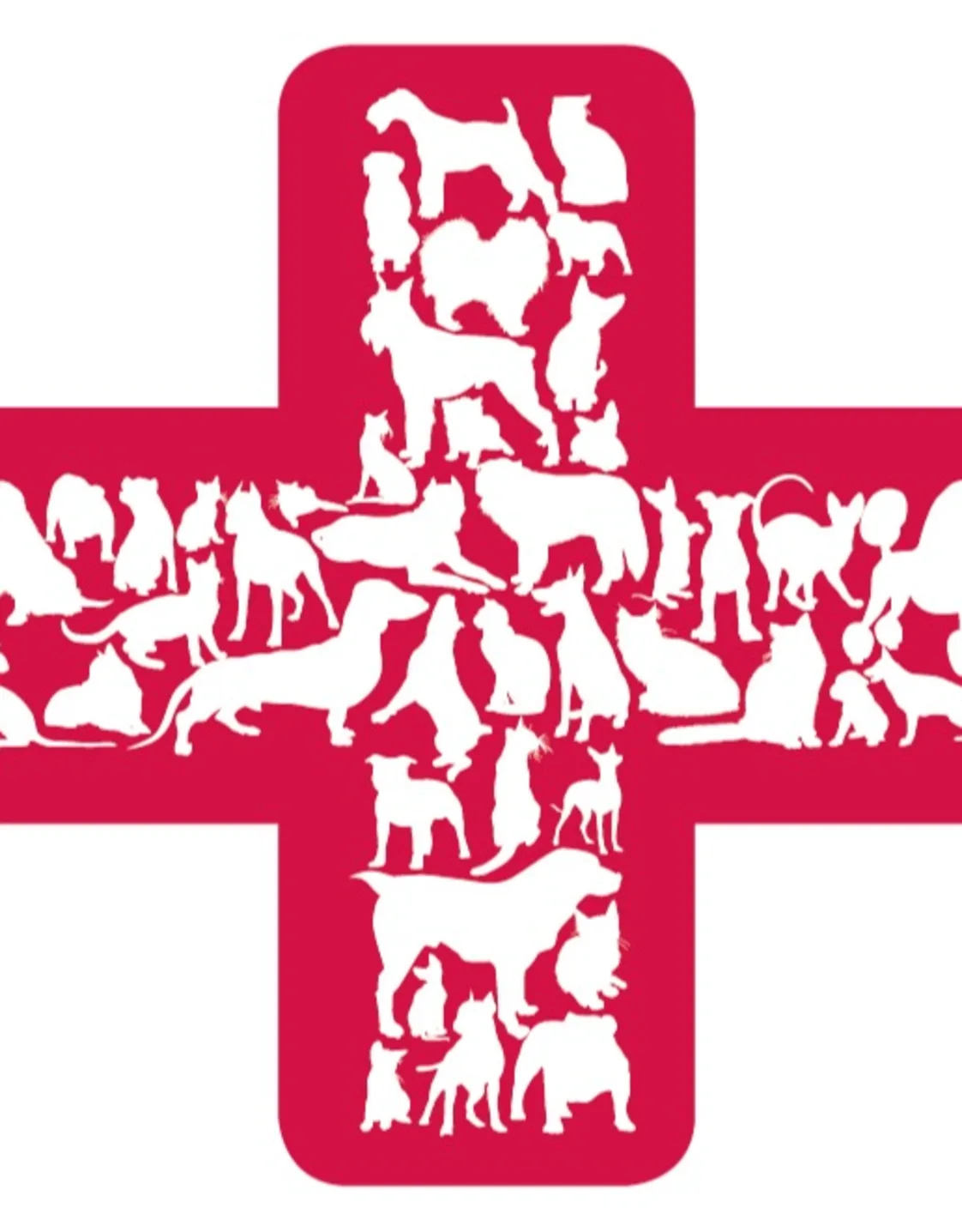 Kelly Crowdis, DVM Kelly Crowdis, DVM