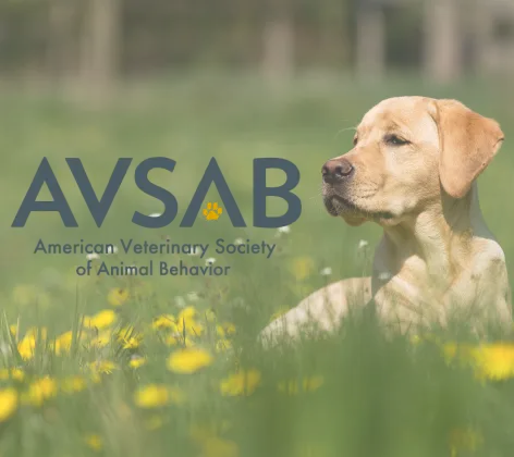 American Veterinary Society Of Animal Behavior (AVSAB) 