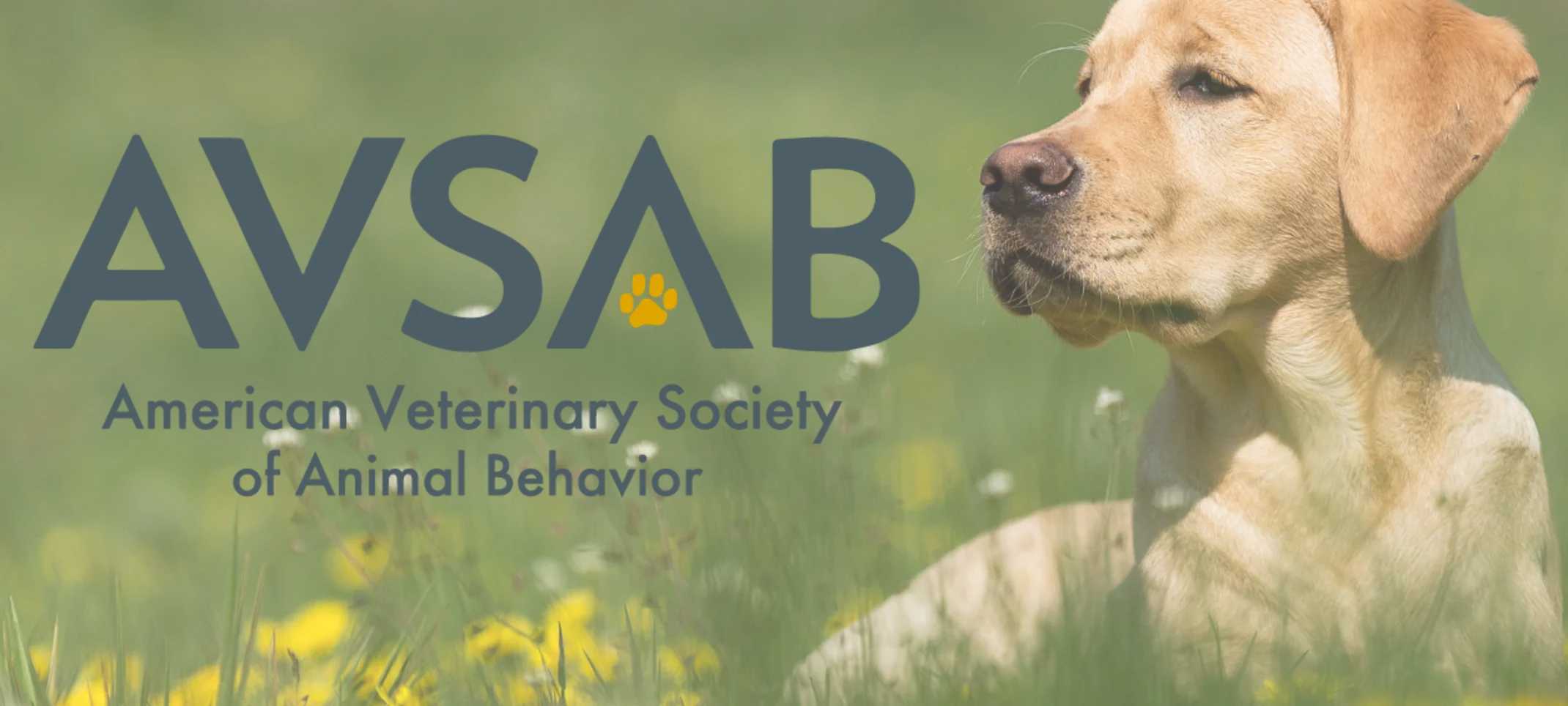 American Veterinary Society Of Animal Behavior (AVSAB) 