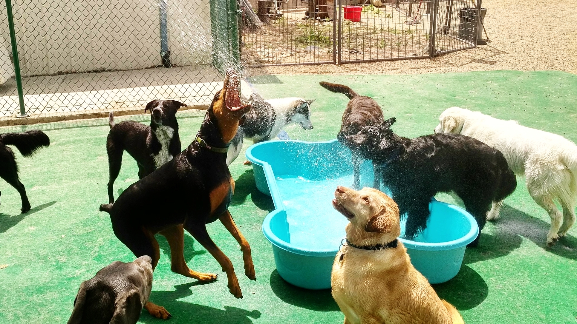 Bowhaus (Erie) Daycare