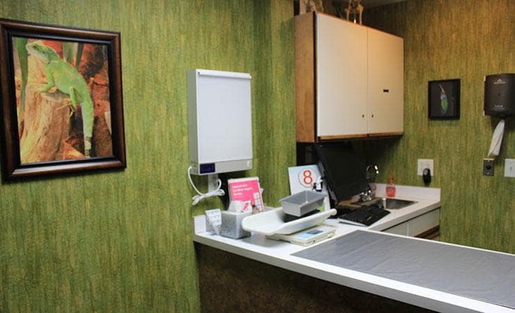 All Creatures (NY) Examination Room