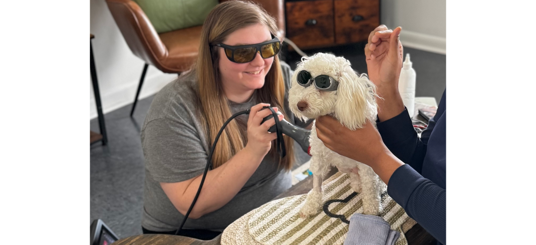Dog & Staff in Rehab Session Wearing Sunglasses