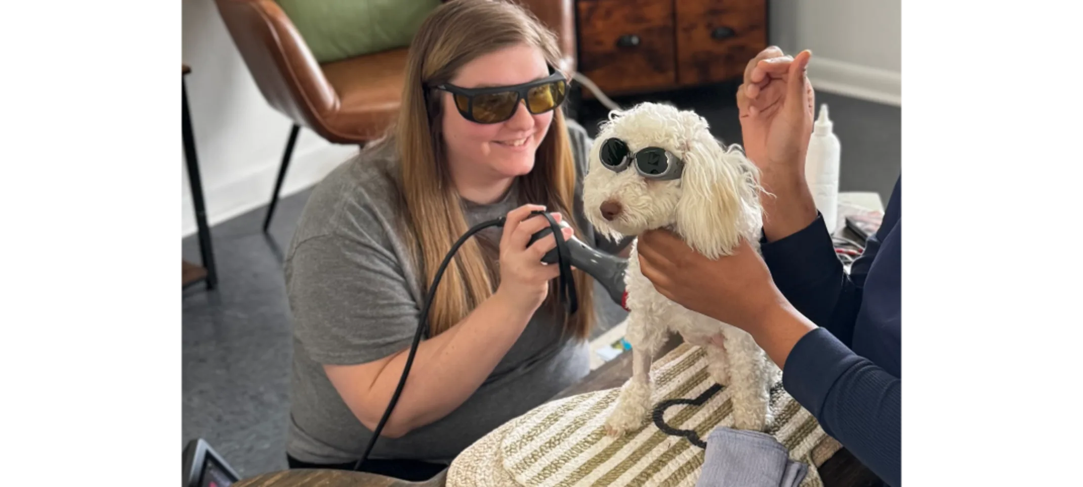 Dog & Staff in Rehab Session Wearing Sunglasses Dog & Staff in Rehab Session Wearing Sunglasses