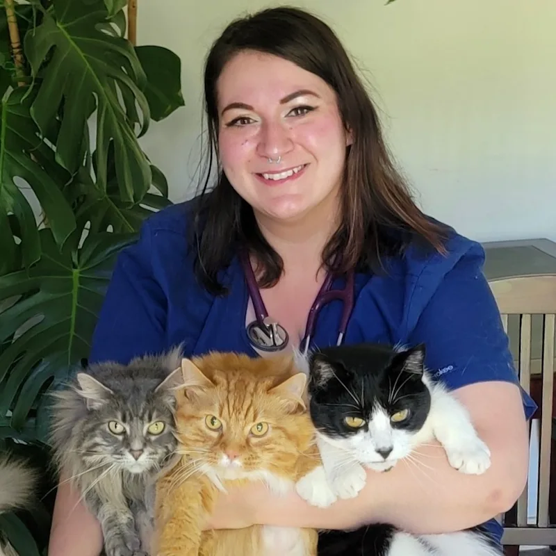 Dr. Melissa McGrath Dr. Melissa McGrath