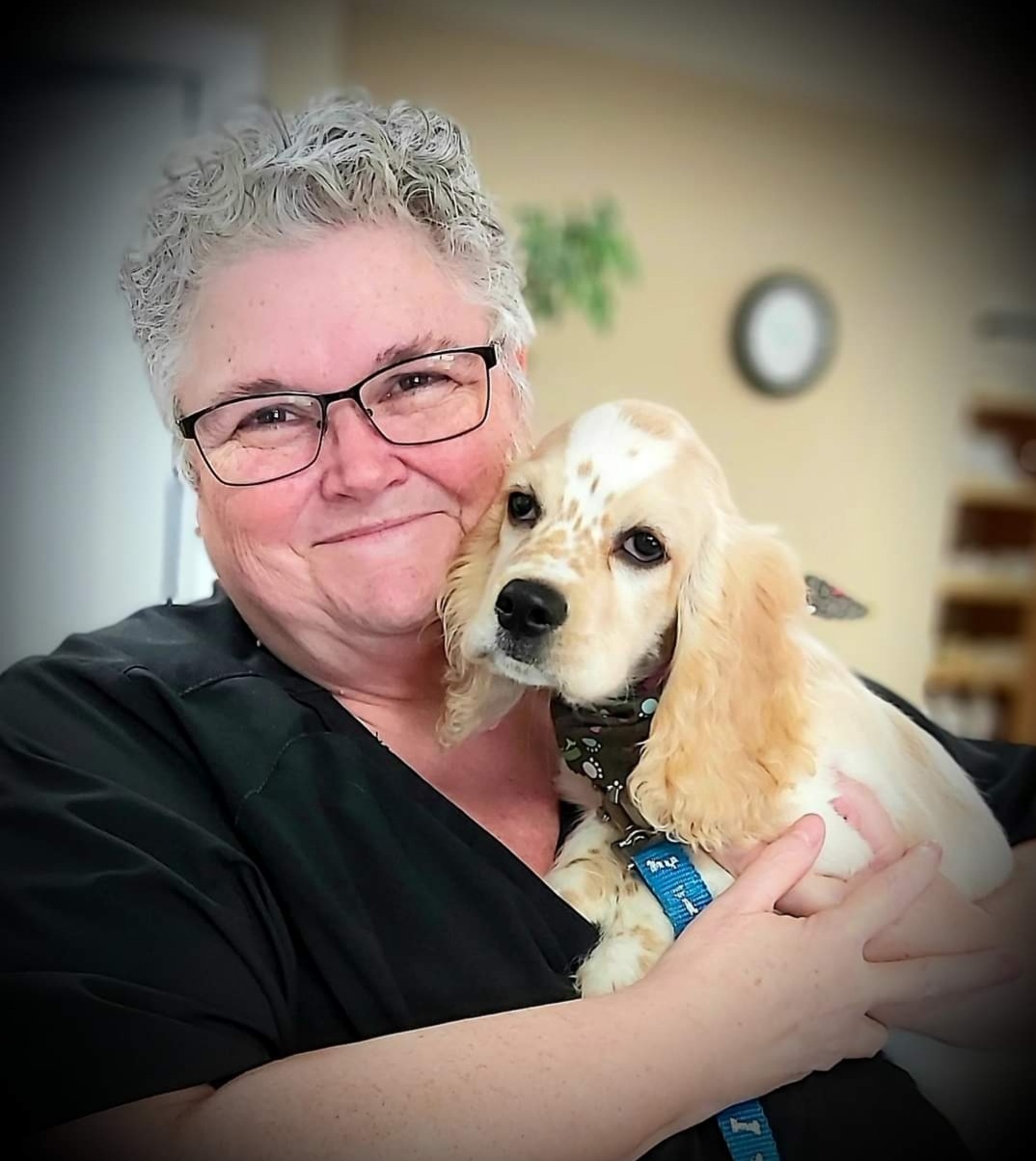 Williamstown Veterinary Services staff member Elizabeth holding a dog