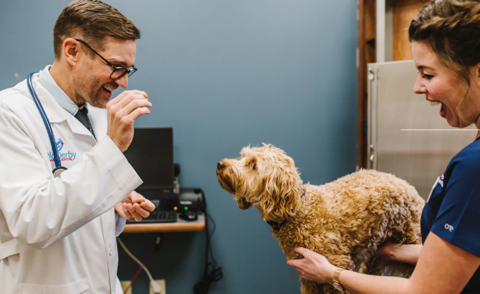Doctor About to Give a Dog a Treat with Nurse Holding the Dog Doctor About to Give a Dog a Treat with Nurse Holding the Dog