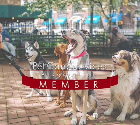 pet care services association pet care services association
