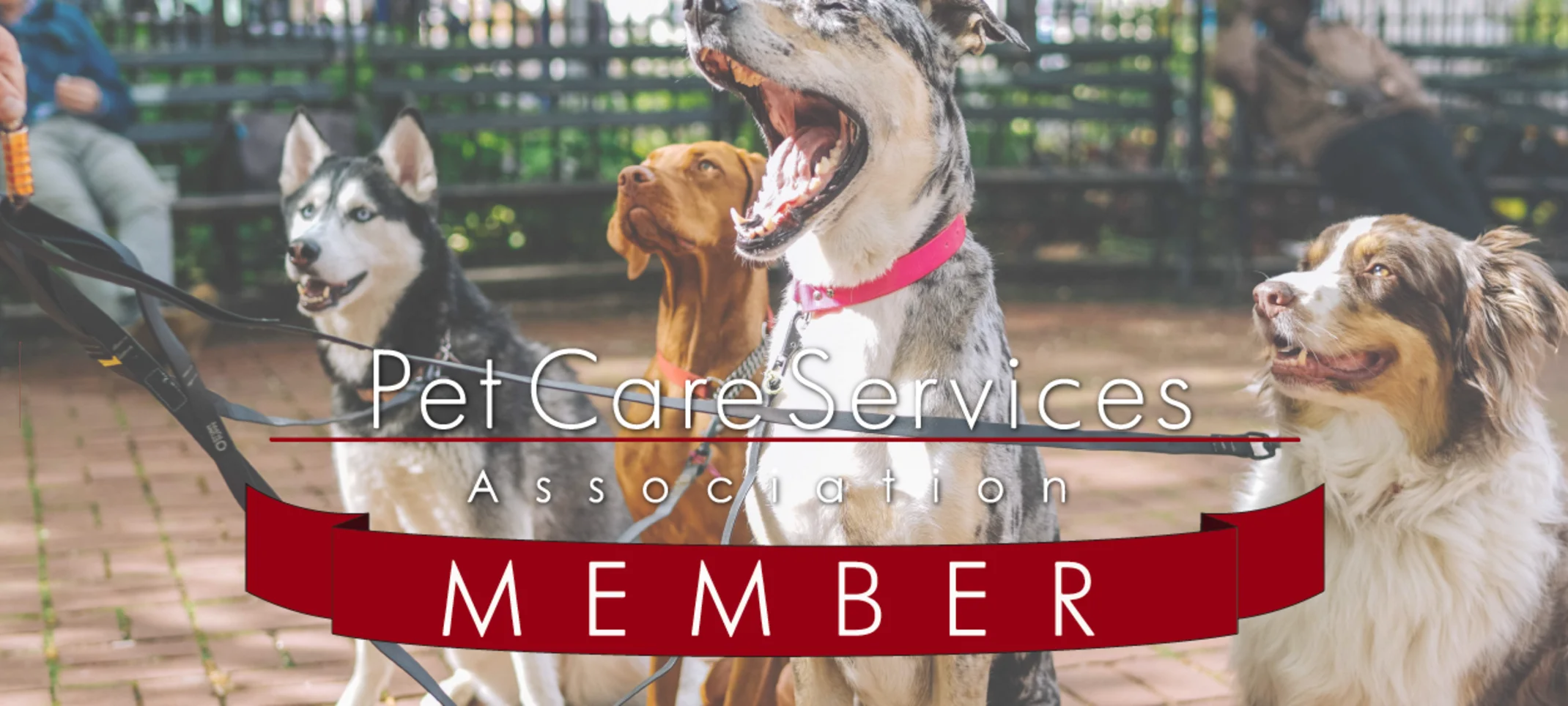pet care services association 