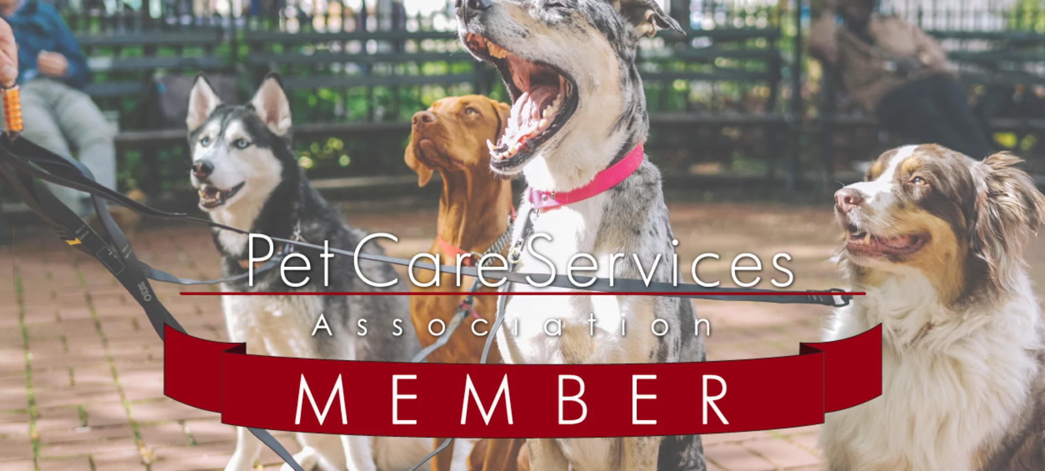 pet care services association 