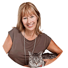 Dr. Diane Bourdeau The Cat Clinic