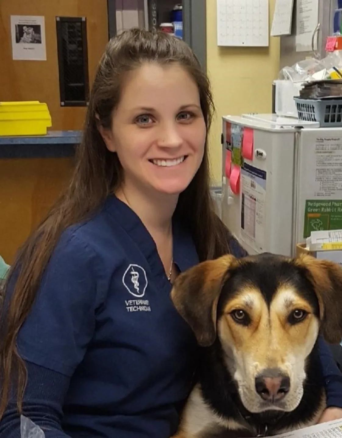 Aileen O'Connor Aileen O'Connor