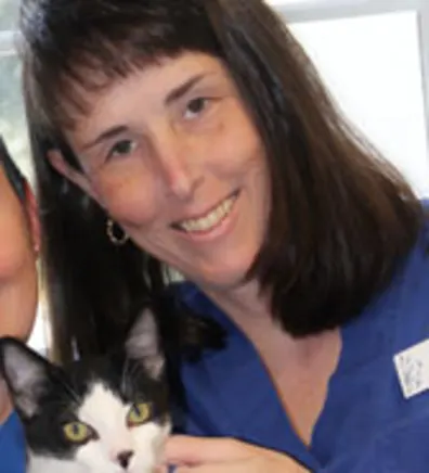 Sherie Willard Sherie Willard