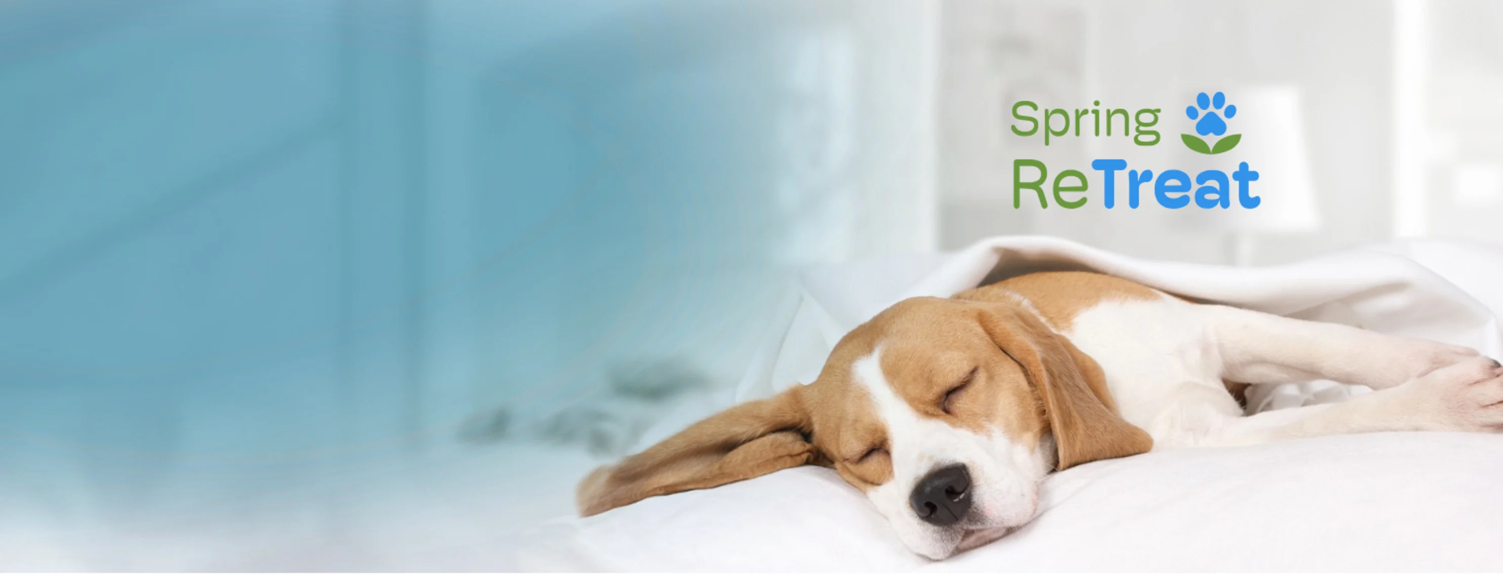 Dog Sleeping with blanket Dog Sleeping with blanket