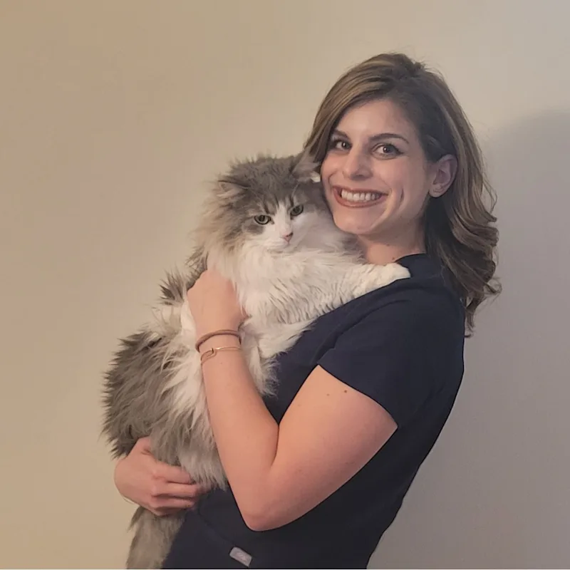 Dr. Christina Gatta Dr. Christina Gatta