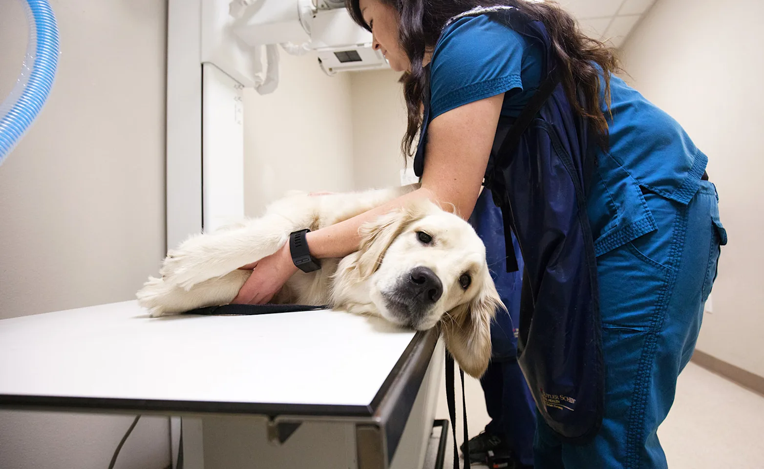 Dog on table being examined by xray with the assistance of technician Dog on table being examined by xray with the assistance of technician